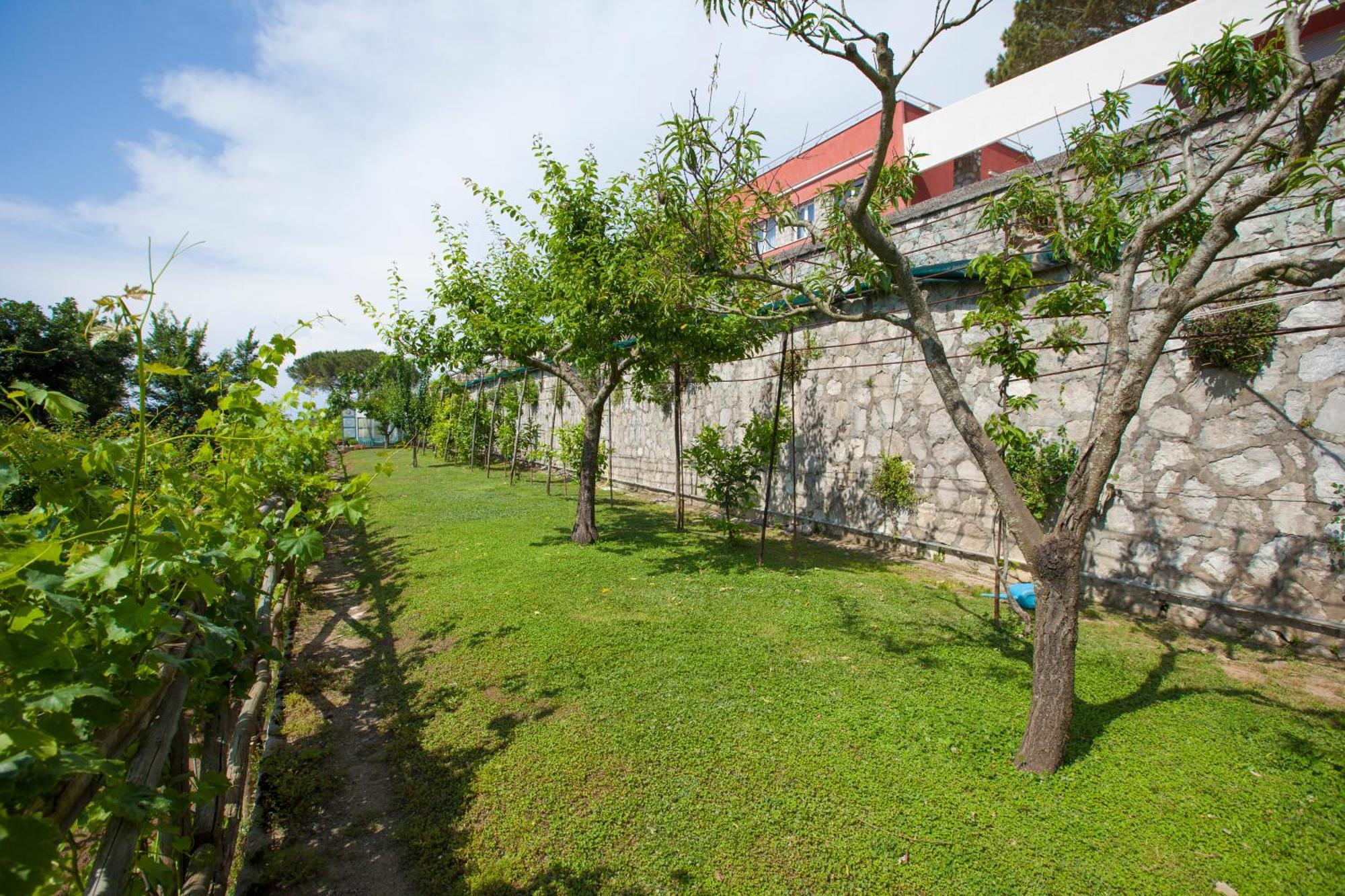 Villa Mambrini 索伦托 外观 照片